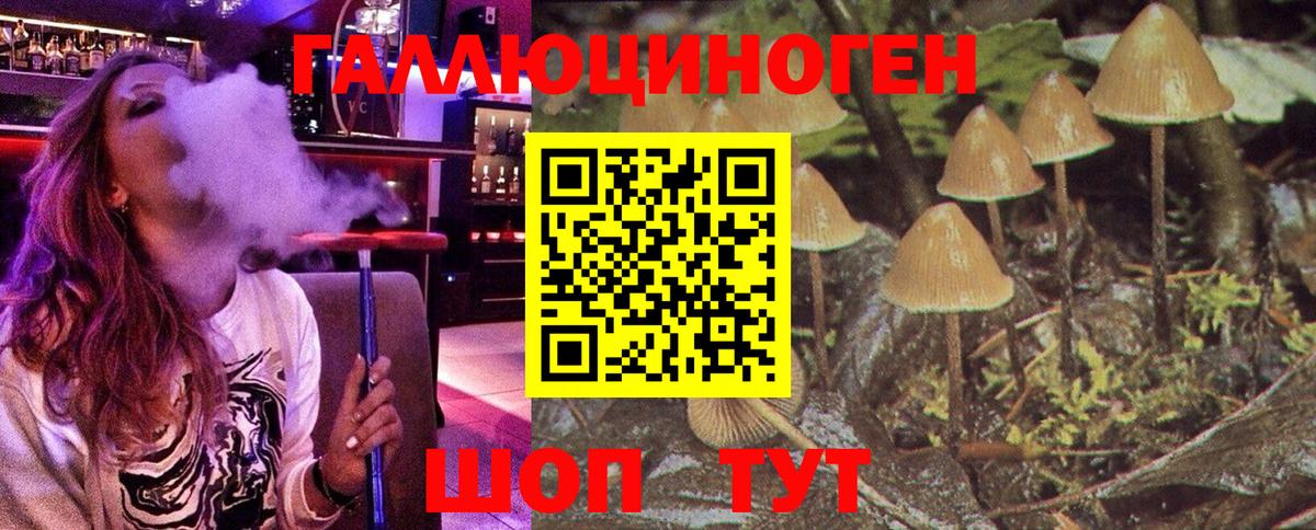 Галлюциногенные грибы Psilocybe  Псилоцибиновые грибы Psilocybe  Вход с VPN  закладки  Прокопьевск 