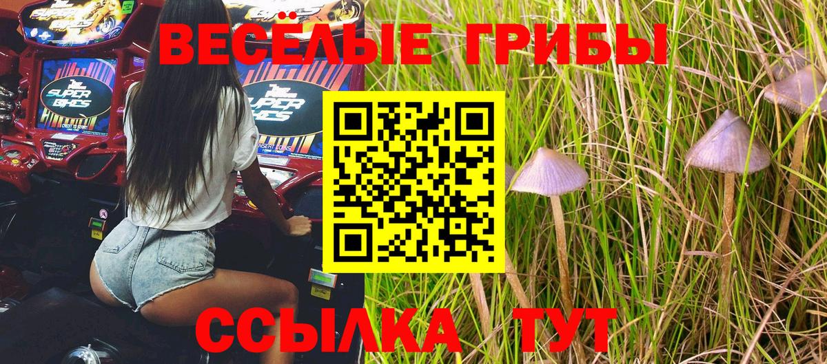 Псилоцибиновые грибы ЛСД Прокопьевск